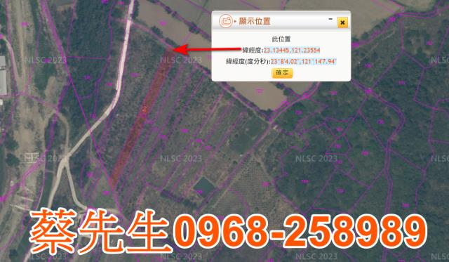 花蓮富里農地法拍-10