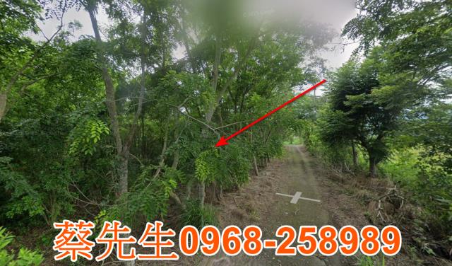 花蓮富里農地法拍-12