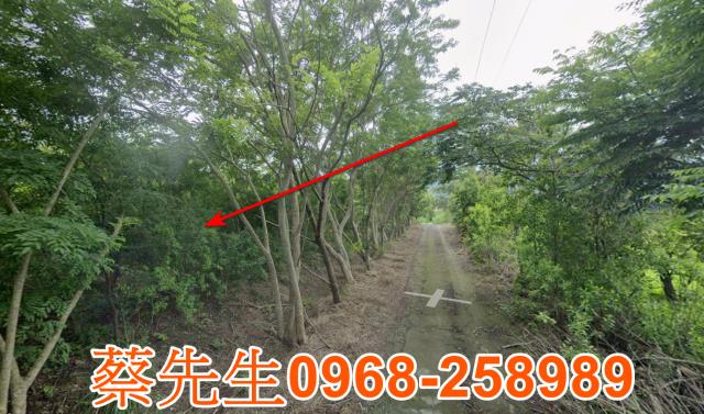 花蓮富里農地法拍-3