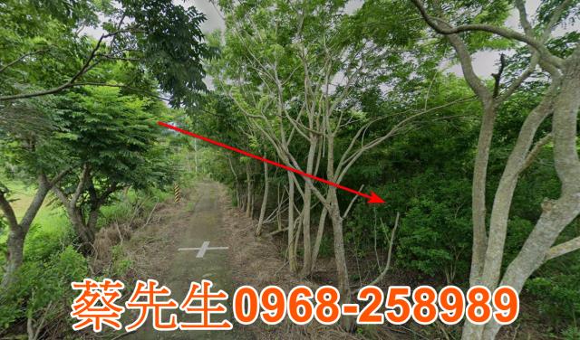 花蓮富里農地法拍-5