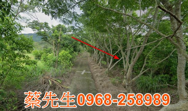 花蓮富里農地法拍-6