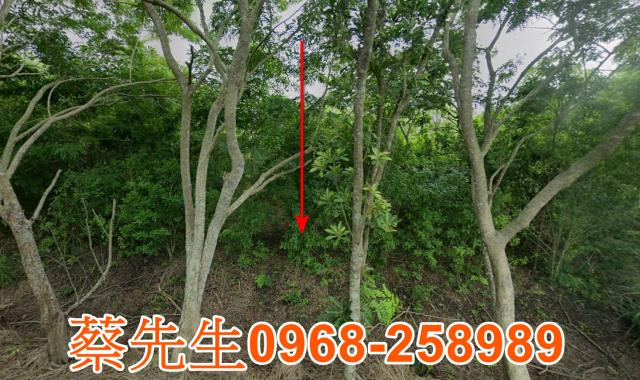 花蓮富里農地法拍-8