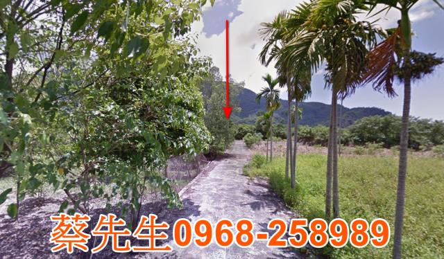 萬榮農地法拍-5