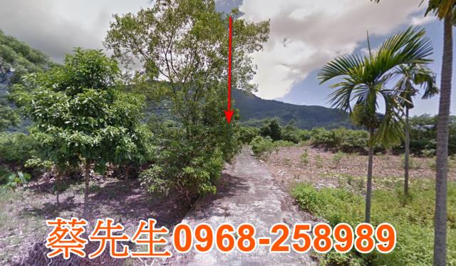 萬榮農地法拍-6