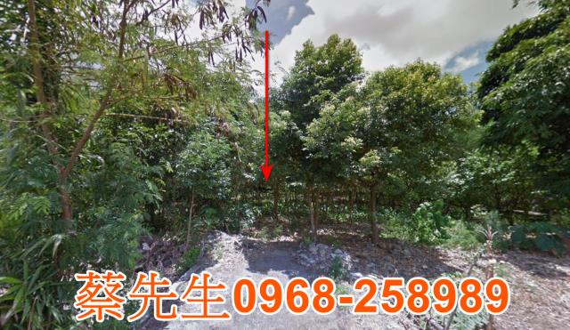 萬榮農地法拍-8