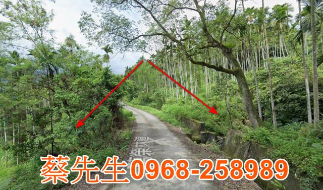 萬榮法拍農地-5