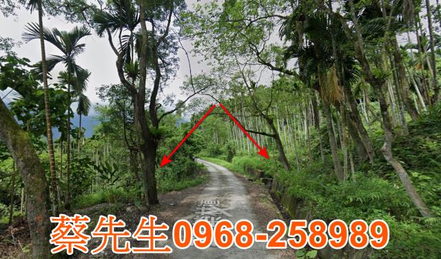 萬榮法拍農地-6