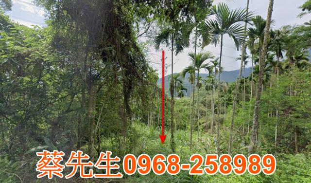 萬榮法拍農地-8