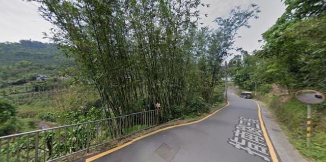 台北法拍種菜地-4