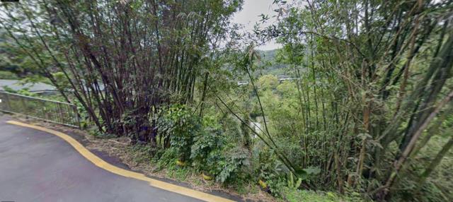 台北法拍種菜地-7