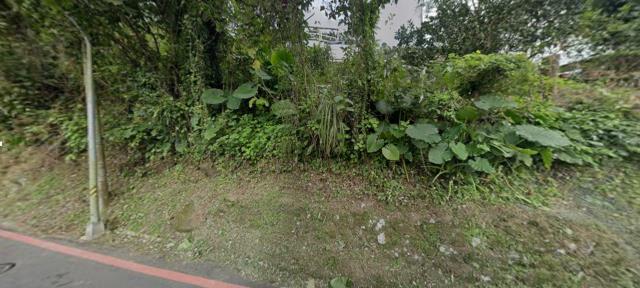 台北種菜地法拍-8