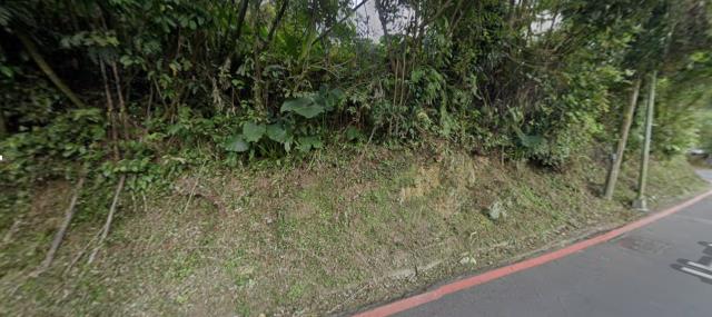 台北種菜地拍賣-0