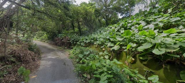 新北中和法拍種菜地-11