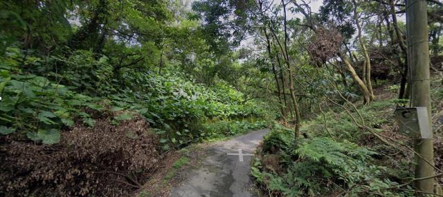 新北中和法拍種菜地-4