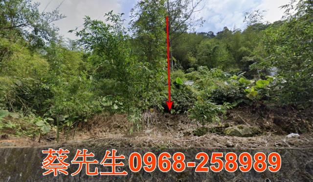 台北文山區法拍農地-0