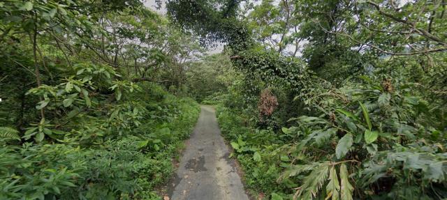 中和種菜地法拍-3