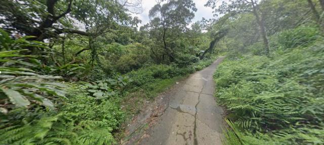 中和種菜地法拍-4