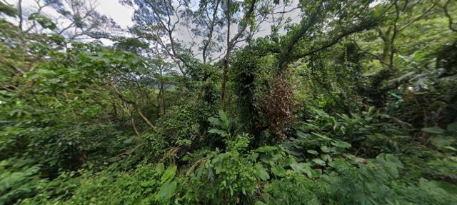 中和種菜地法拍-8