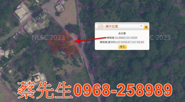 延平法拍農地-10