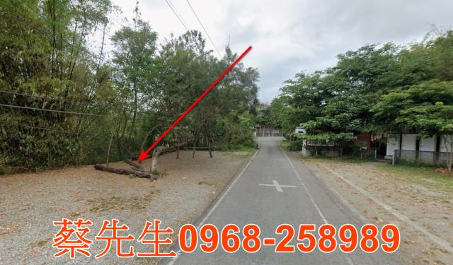 延平法拍農地-13