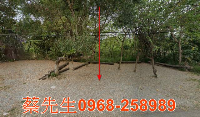 延平法拍農地-0