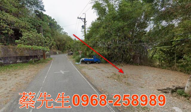 延平法拍農地-3