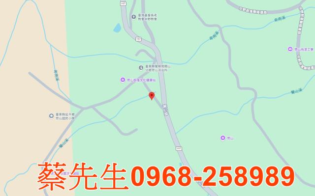 延平法拍農地-7