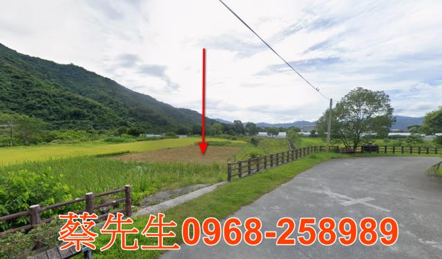 延平法拍農地-12