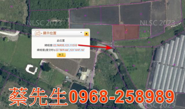 延平法拍農地-2