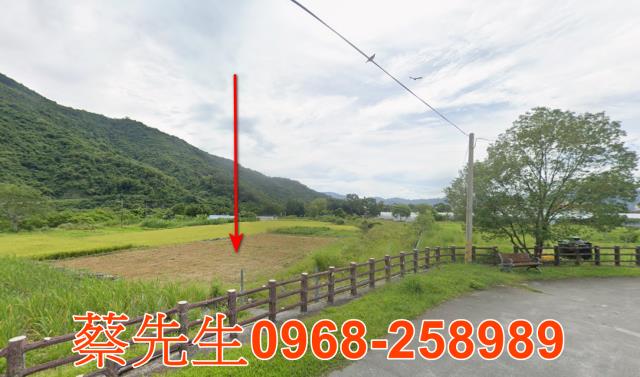 延平法拍農地-3