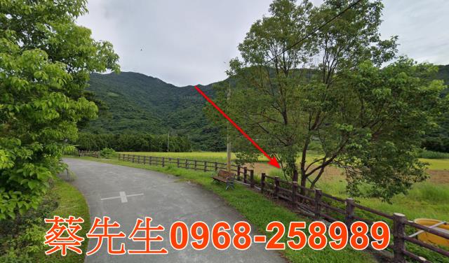 延平法拍農地-5