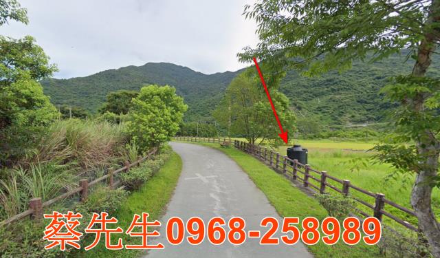 延平法拍農地-6