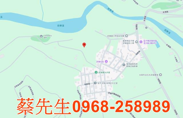 延平法拍農地-7