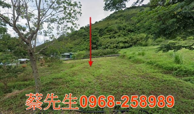 台東法拍建地-0