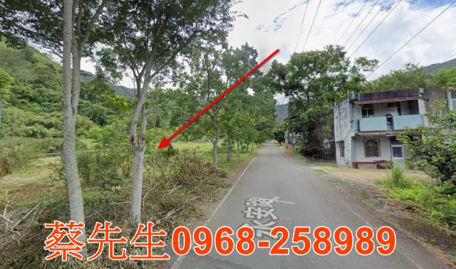 台東法拍建地-4