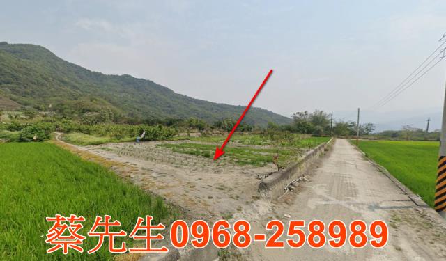 台東農地法拍-3