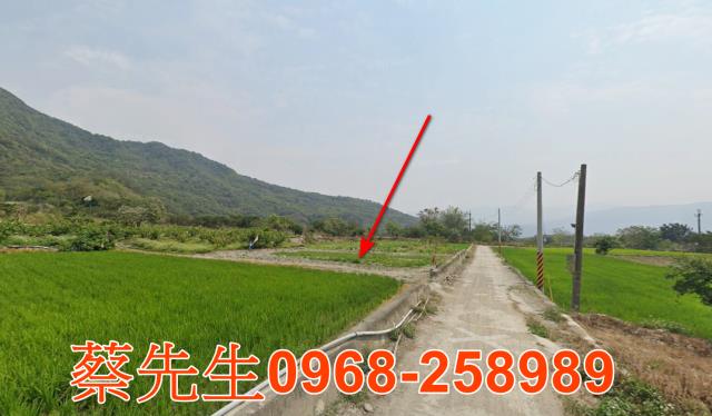 台東農地法拍-4