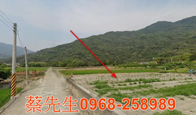 台東農地法拍-5