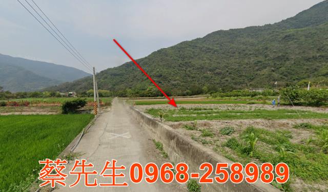 台東農地法拍-6