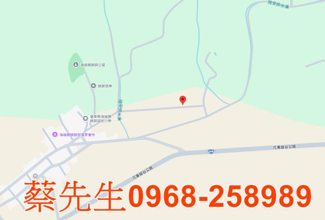 台東農地法拍-7