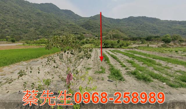 台東農地法拍-8