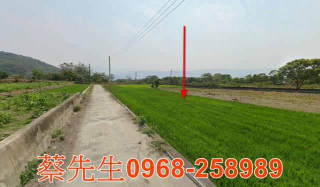 台東農地法拍-11