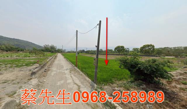 台東農地法拍-12