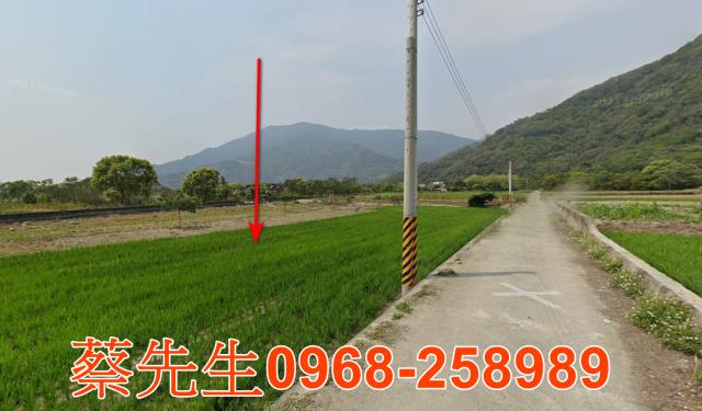 台東農地法拍-13