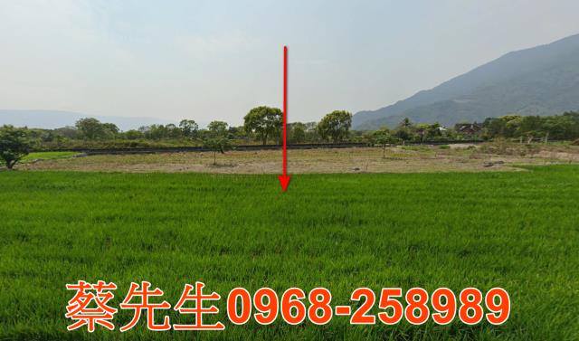 台東農地法拍-0