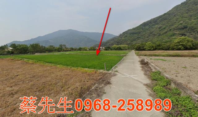 台東拍賣農地-12