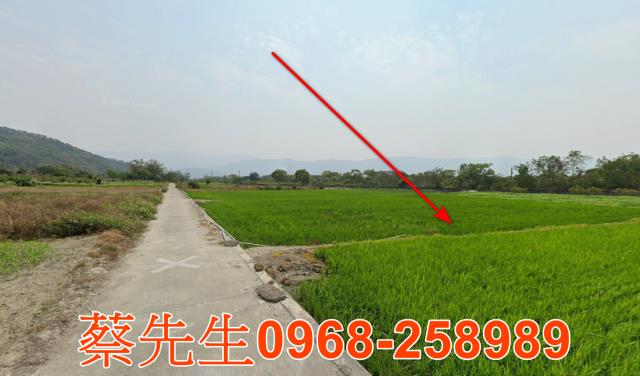 台東拍賣農地-13