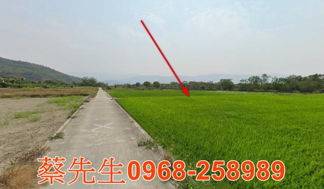 台東拍賣農地-14