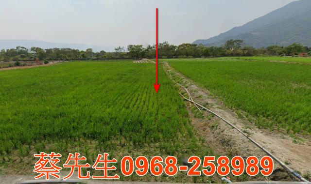 台東拍賣農地-0