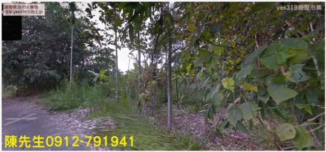 台南農地法拍-9